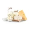 Cheese Vat / Pasteurizer MIP CH
