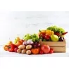 Umývačka ovocia a zeleniny s pásovým dopravníkom EWT