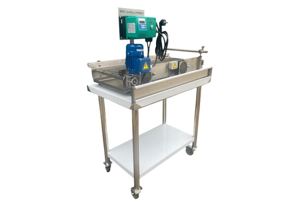 Continuous fryer with conveyor belt