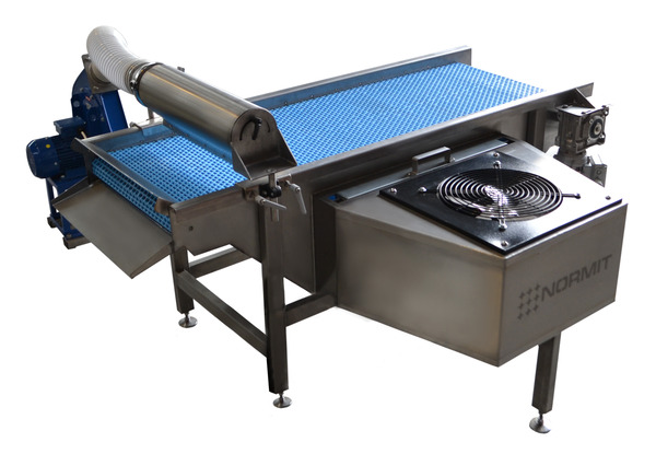 Industrial fryer with product conveyor