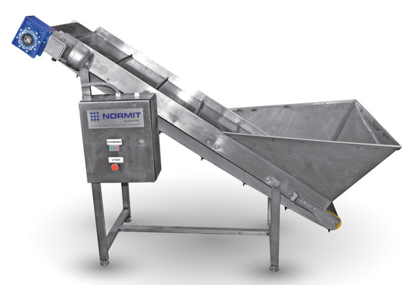 Continuous paddle fryer