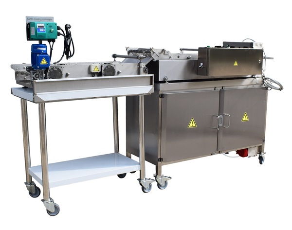 Food processing fryer with conveyor system