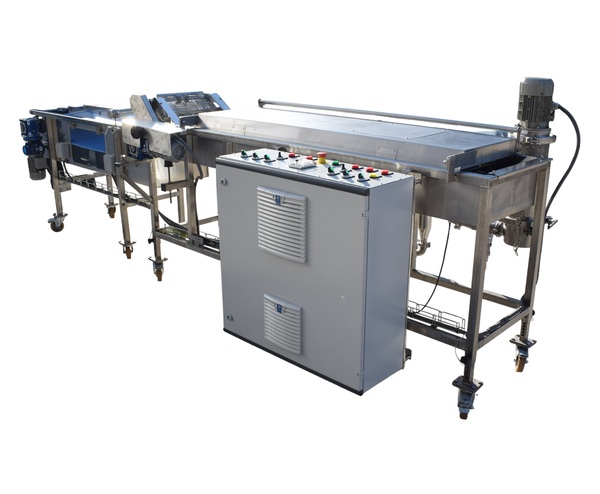 Continuous frying line with conveyor
