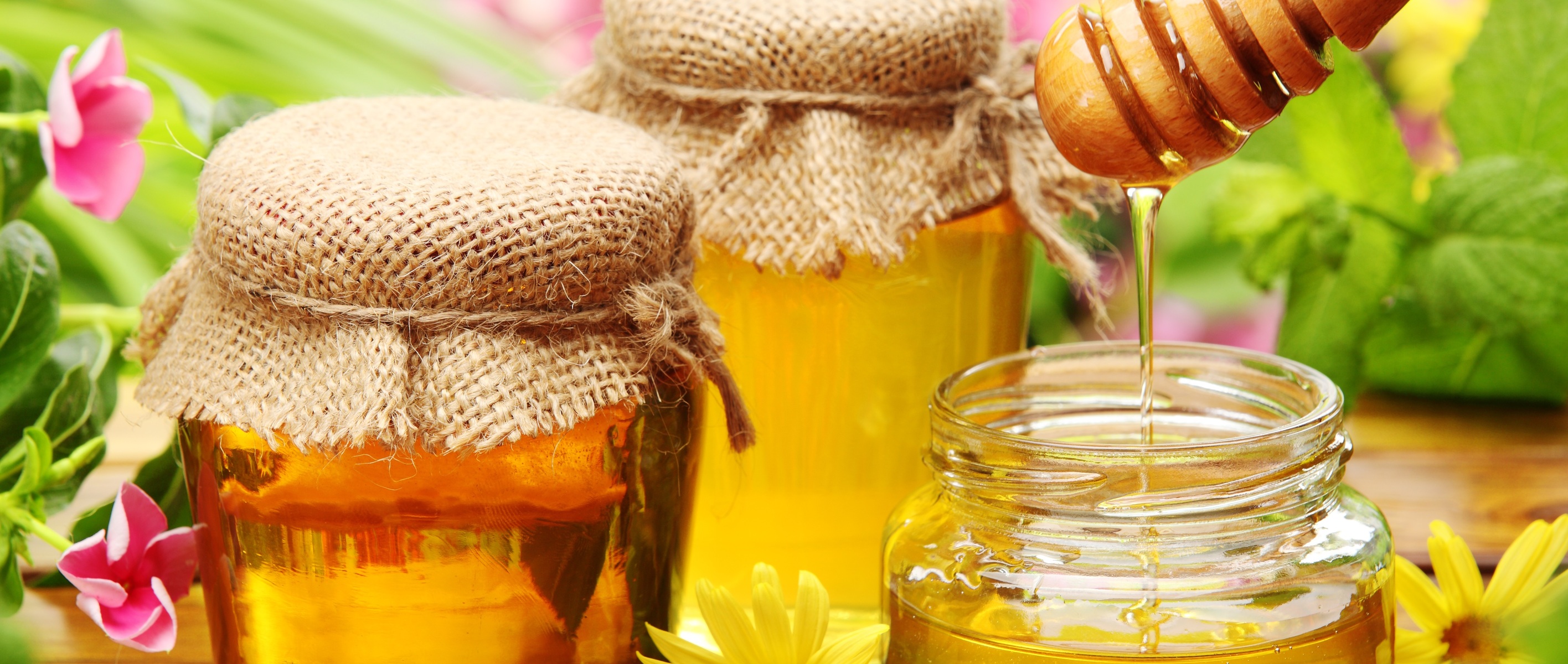 Cold drying of honey