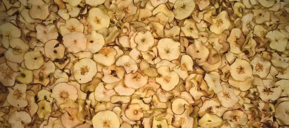 Testing our new commercial Infrared Dryer