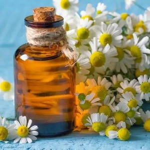 New article in our blog